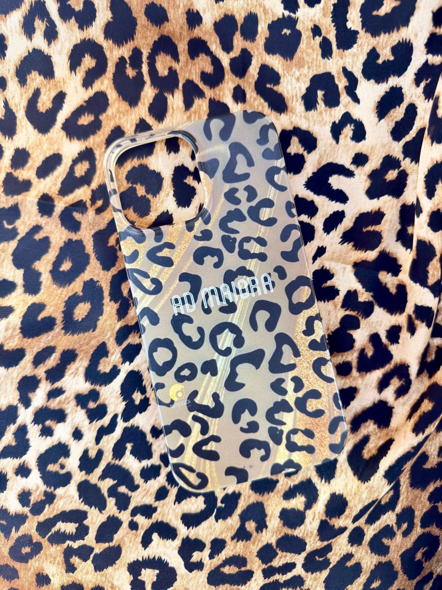 Cover Latin Lovers